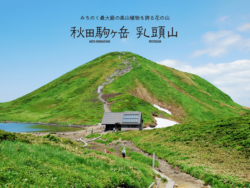 秋田駒ヶ岳と乳頭山の情報サイトをオープンいたしました